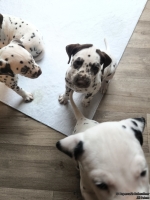 IMG_20250208_105759_web