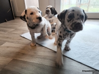 IMG_20250208_105810_web