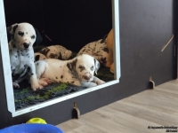 IMG_20250208_105856_1_web