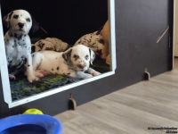 IMG_20250208_105856_web