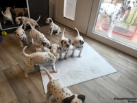 IMG_20250208_105944_web