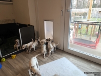 IMG_20250208_105956_web