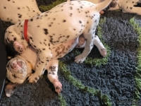 IMG_20250208_110411_web