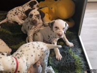 IMG_20250208_110428_web