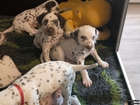 IMG_20250208_110430_web