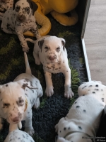 IMG_20250208_110447_web