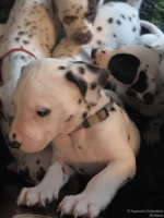 IMG_20250208_110453_web