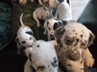 IMG_20250208_110513_web