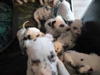 IMG_20250208_110514_web