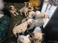 IMG_20250208_110516_web