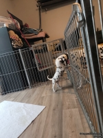 IMG_20250208_110833_web