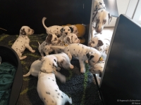 IMG_20250208_110928_web