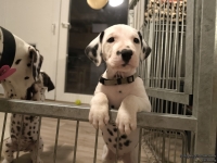 IMG_20250208_212146_web