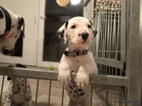 IMG_20250208_212147_web