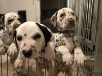 IMG_20250208_212304_web