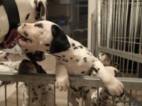 IMG_20250208_212311_web