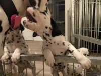 IMG_20250208_212313_web