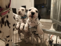 IMG_20250208_212317_web