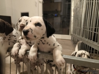 IMG_20250208_212319_web