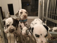 IMG_20250208_212320_web