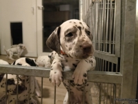 IMG_20250208_212425_web