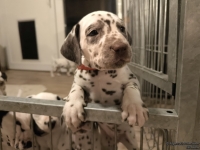 IMG_20250208_212428_web