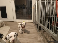 IMG_20250208_213105_web