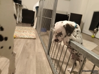 IMG_20250208_213421_web