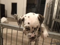 IMG_20250208_213424_web