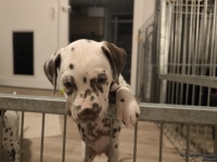 IMG_20250208_213436_web