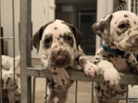 IMG_20250208_213440_web