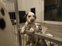 IMG_20250208_213622_web