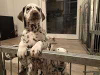 IMG_20250208_213624_web