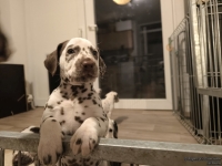 IMG_20250208_213626_web