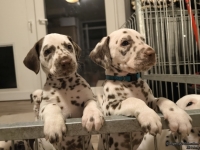 IMG_20250208_213634_web