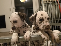 IMG_20250208_213636_web