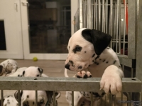 IMG_20250208_213704_web