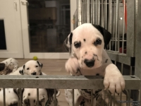 IMG_20250208_213705_web