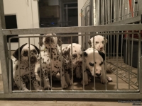 IMG_20250208_213712_web