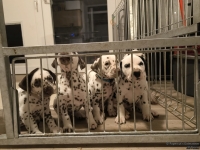 IMG_20250208_213714_web