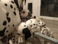 IMG_20250208_213754_web