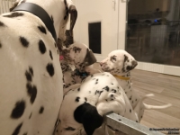 IMG_20250208_213756_web