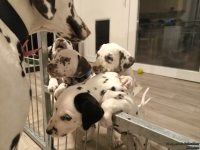 IMG_20250208_213757_web