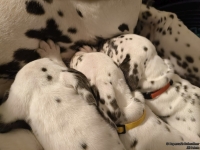 IMG_20250208_215256_web