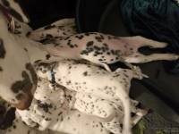 IMG_20250208_215450_web