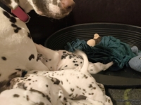 IMG_20250208_215453_web