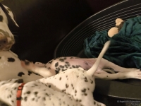 IMG_20250208_215456_web