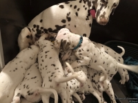 IMG_20250208_215524_web