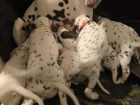 IMG_20250208_215532_web