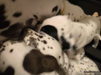 IMG_20250208_215602_web